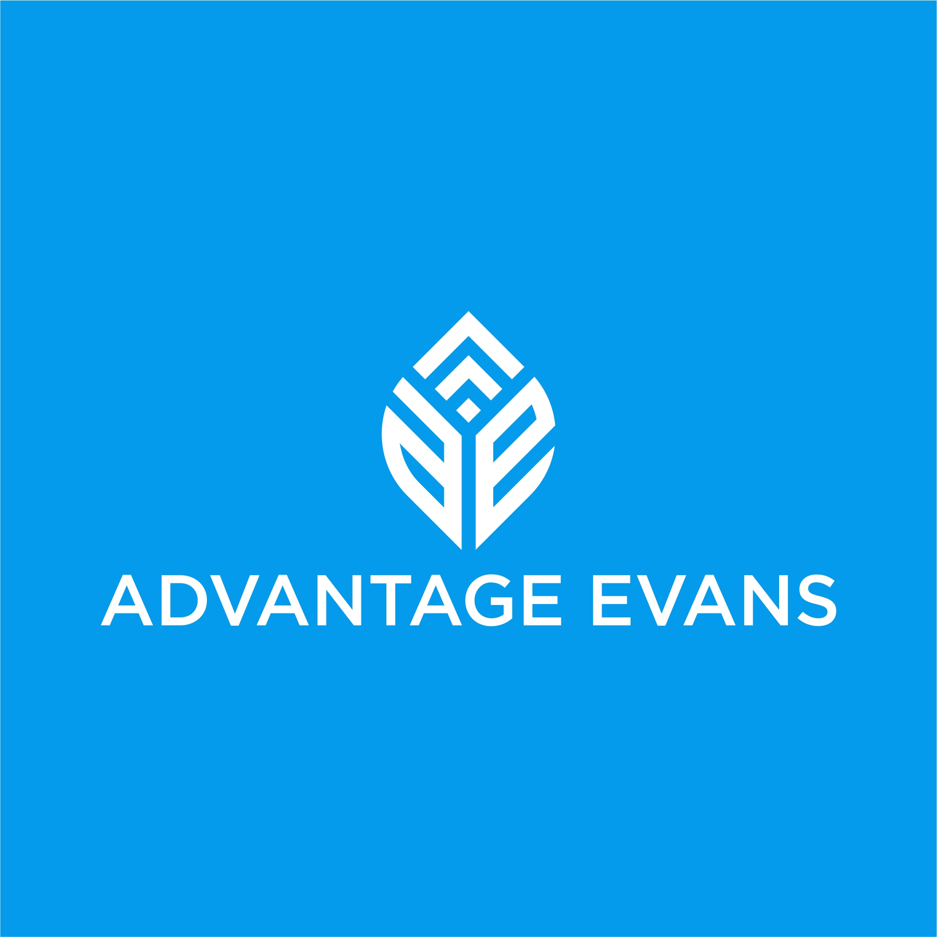 Advantage Evans logo